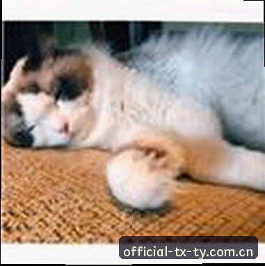 刘阳